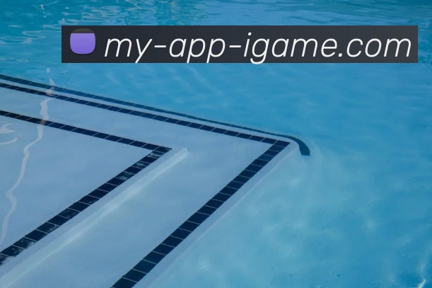 App Interface Preview